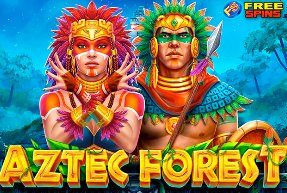 Históricos blaze